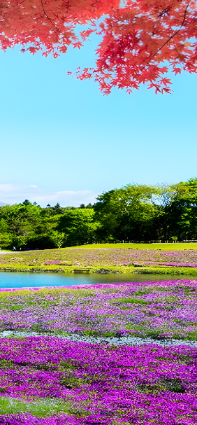 Estacao Primavera